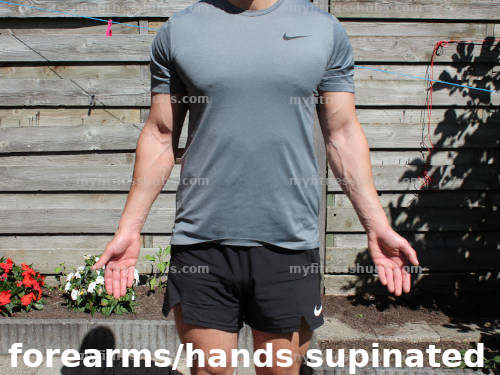 A front view of a fit man in workout clothing standing outside with his forearms/hands supinated.